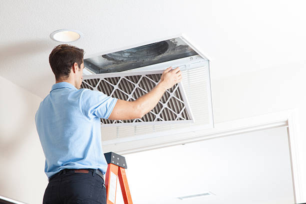 Best Air Conditioning Cleaning in Brownlee Park, MI